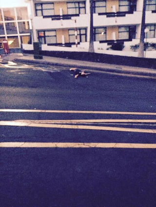 Illustration for article titled Premier League Starlet Pictured Passed Out In Middle Of The Road